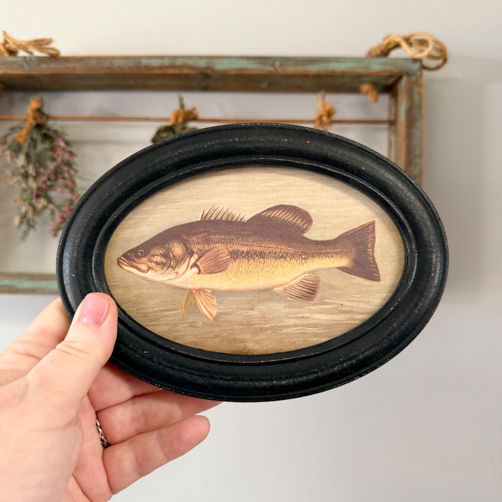 Bass Fish Framed Wall Art Black Oval Vintage Style Lake Cabin Lodge Decor